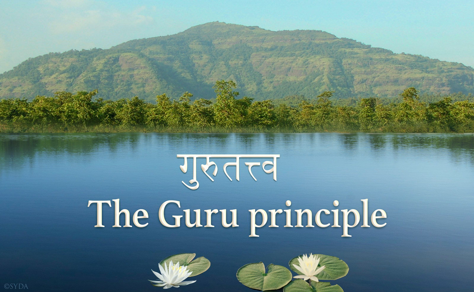 The Guru principle