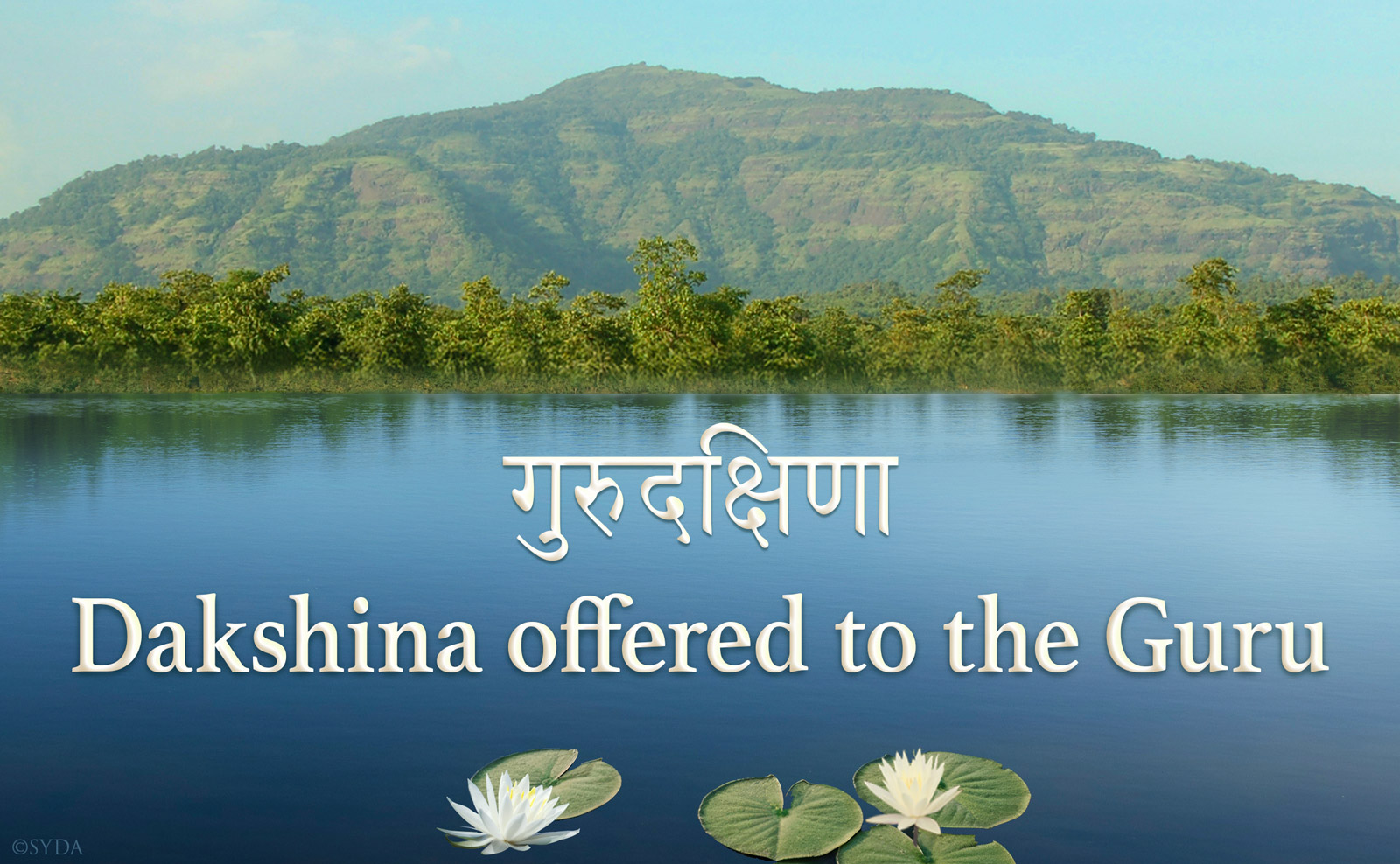 Dakshina offered to Shri Guru