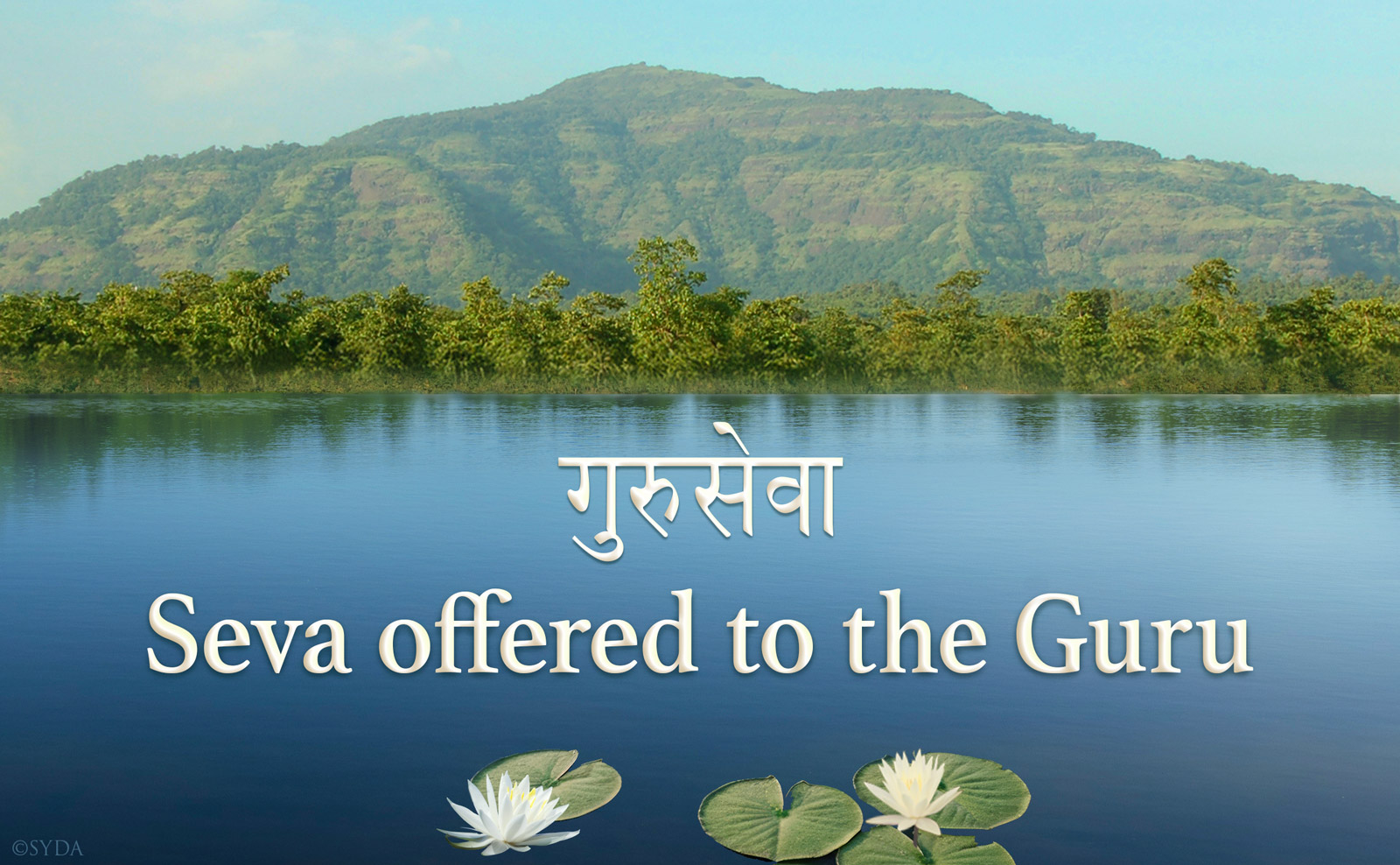 Seva offered to Shri Guru