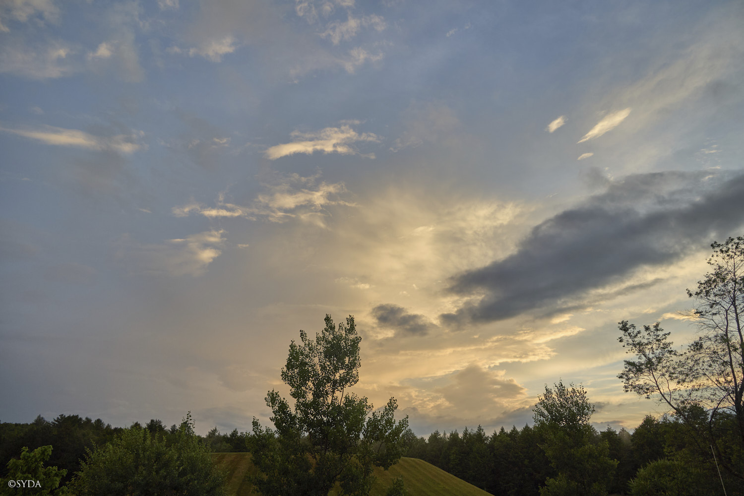Nature Image