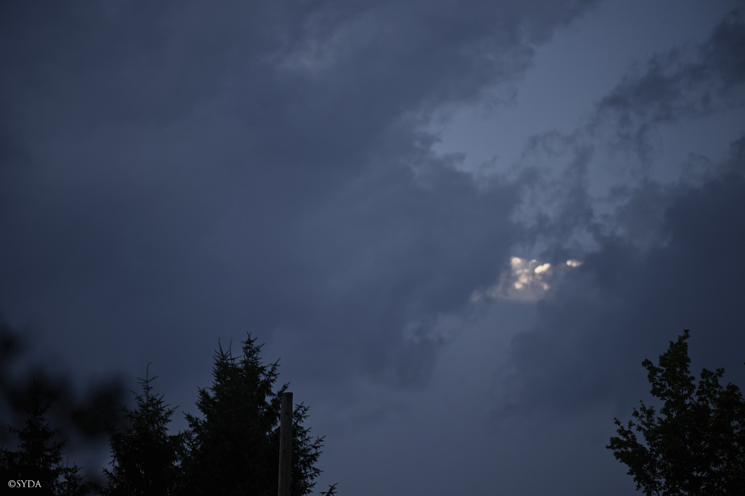 Nature Image