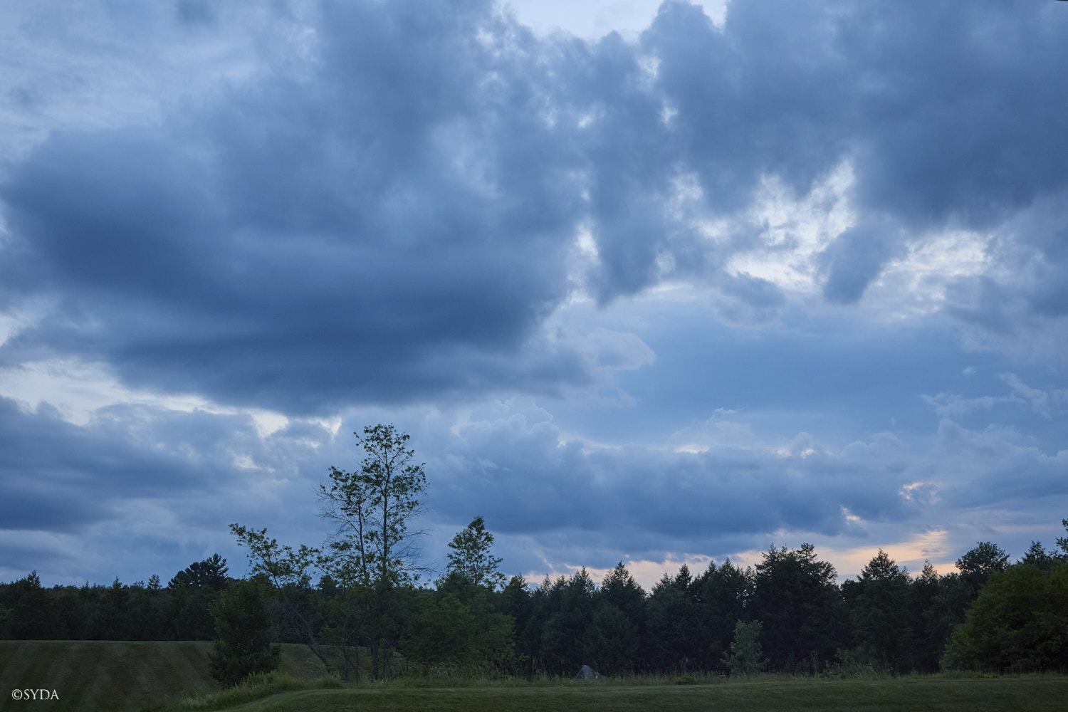 Nature Image