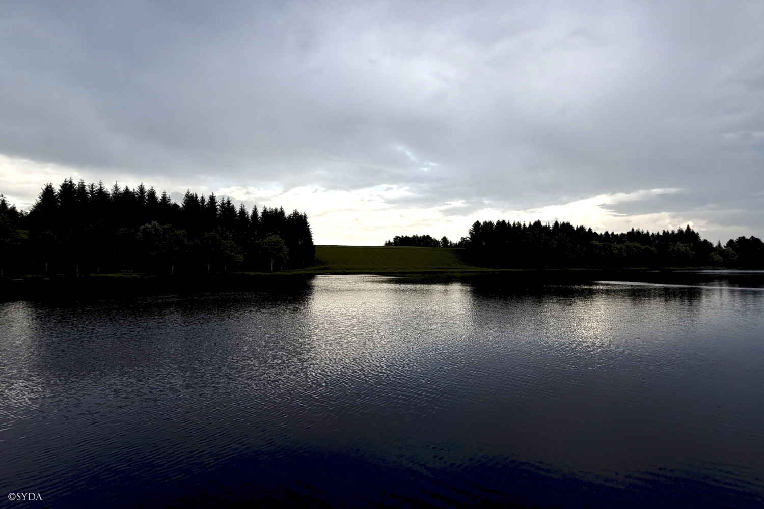 Nature Image