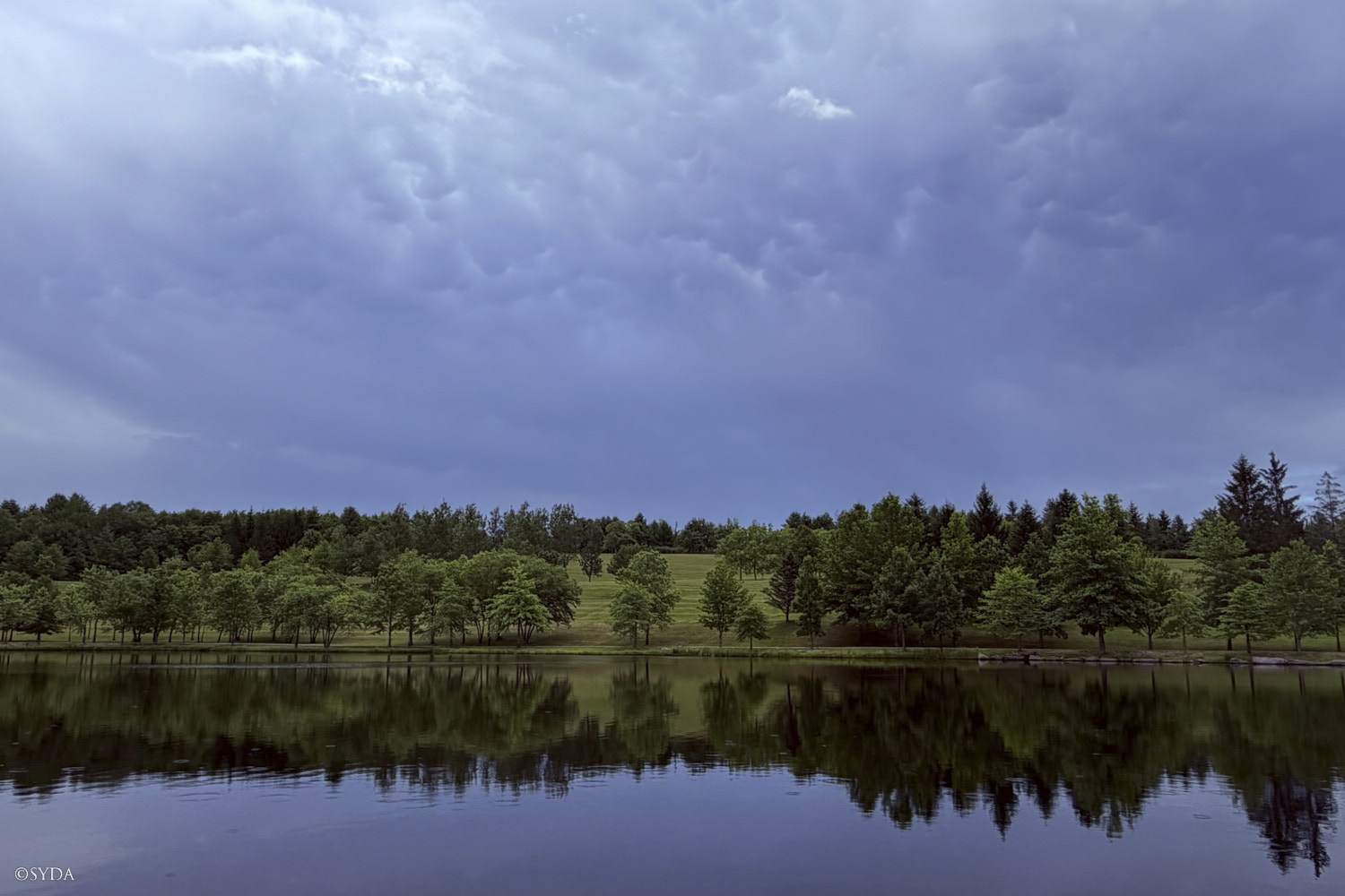 Nature Image