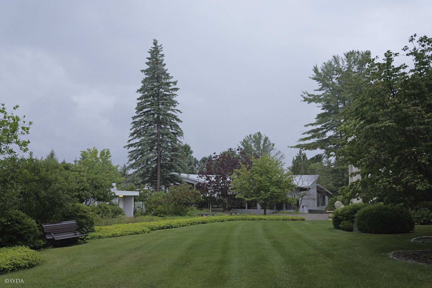 Nature Image