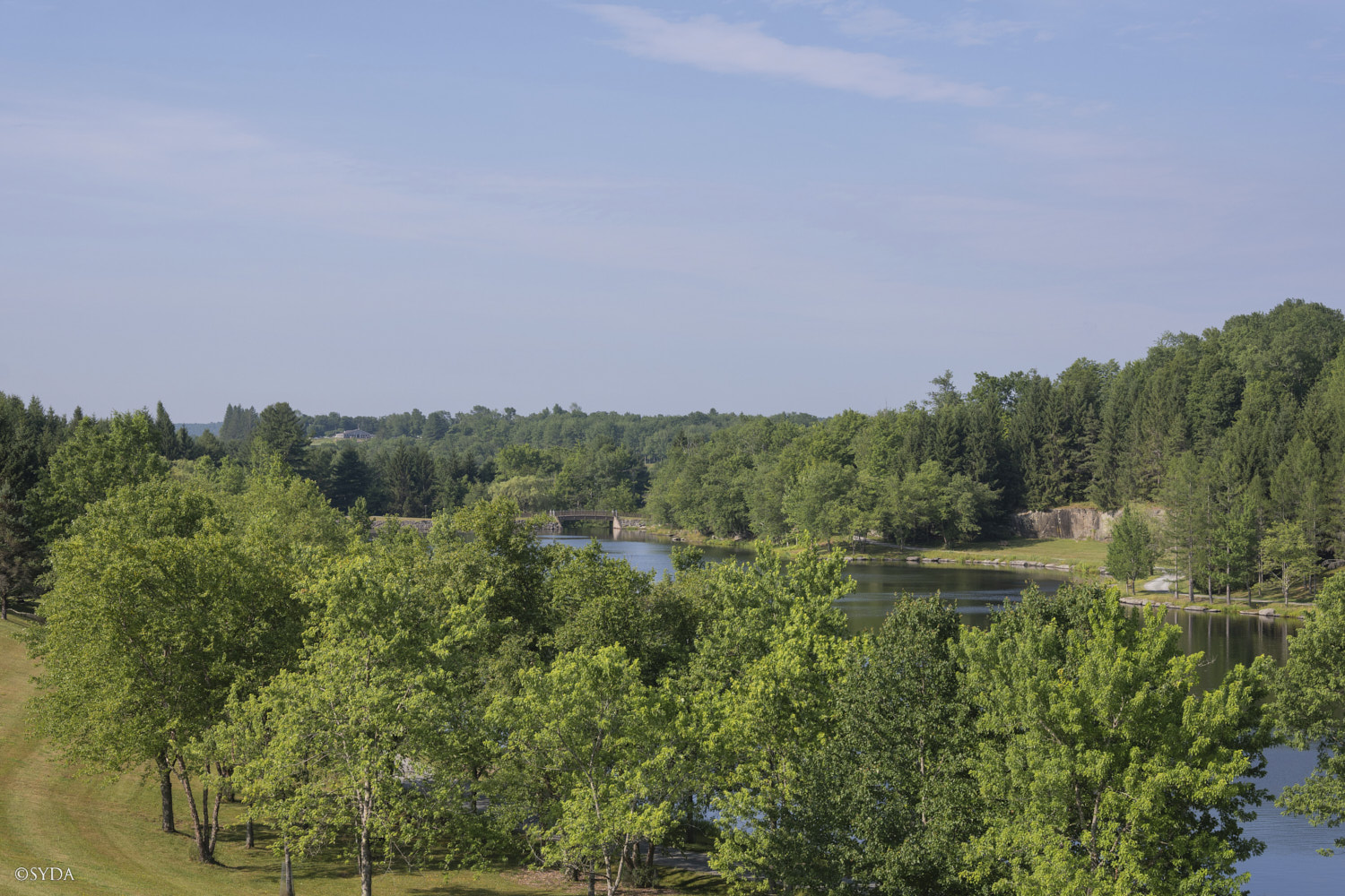 Nature Image