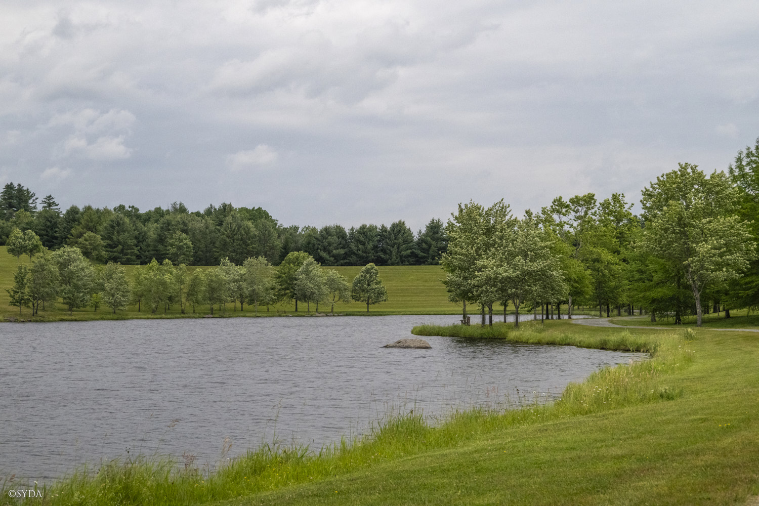 Nature Image