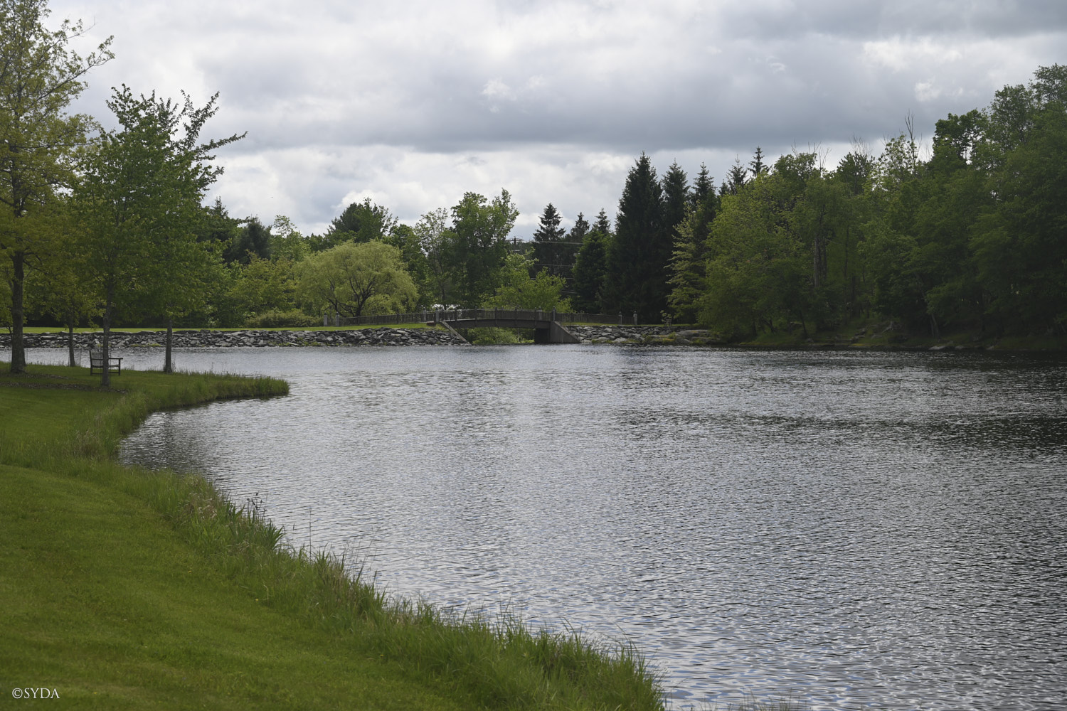Nature Image