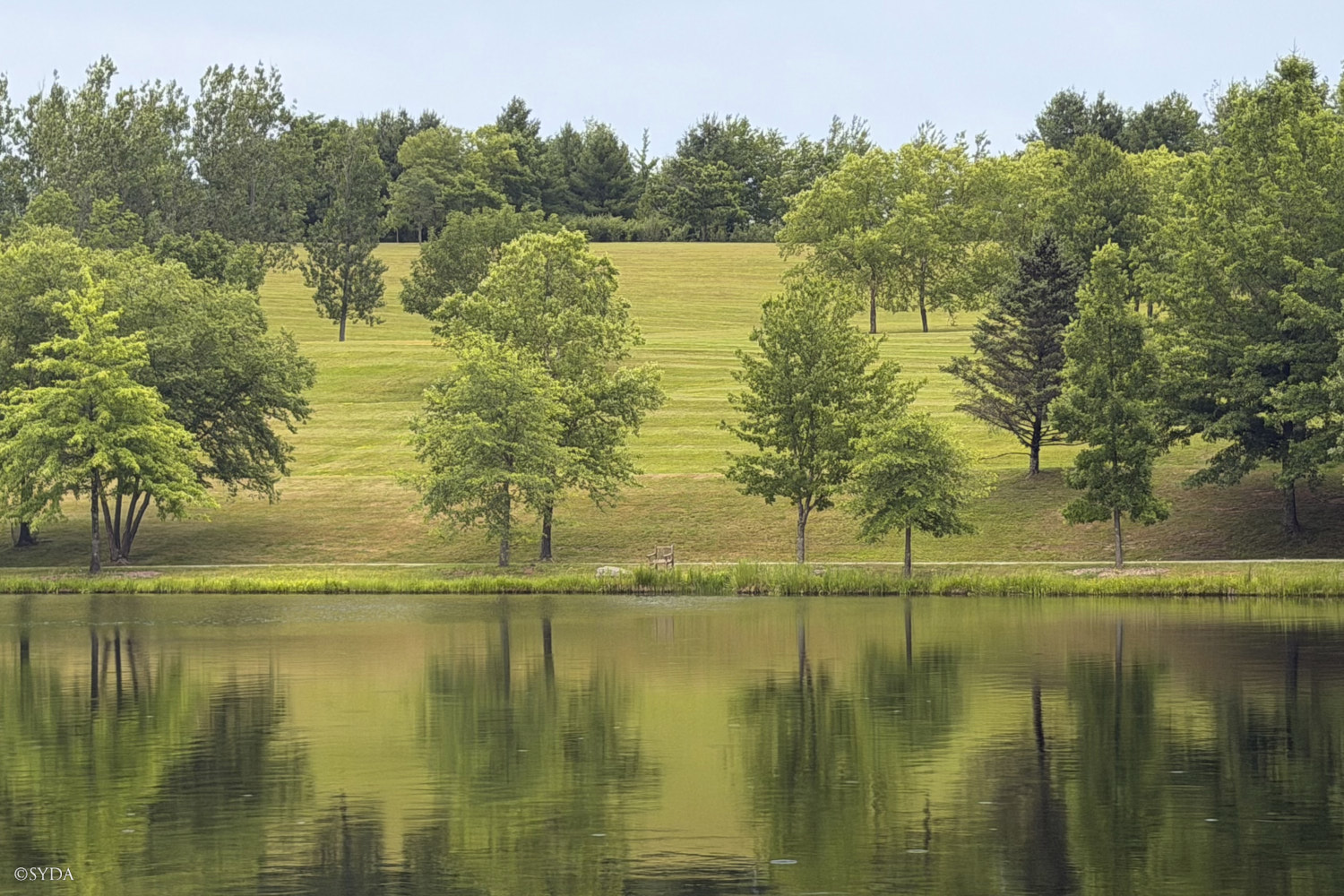 Nature Image