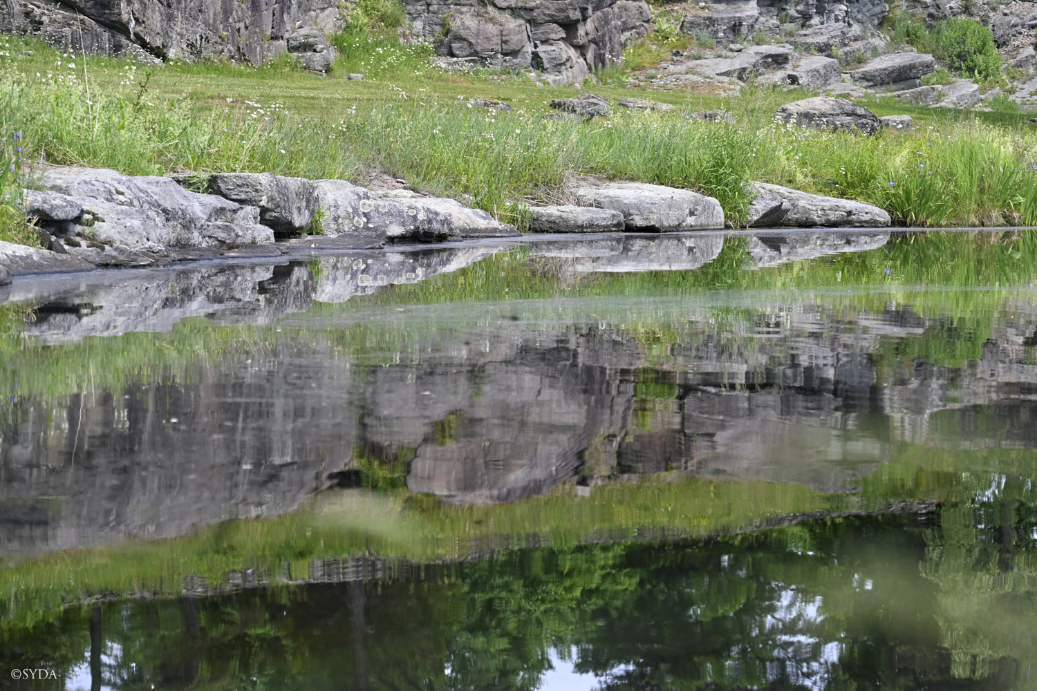 Nature Image