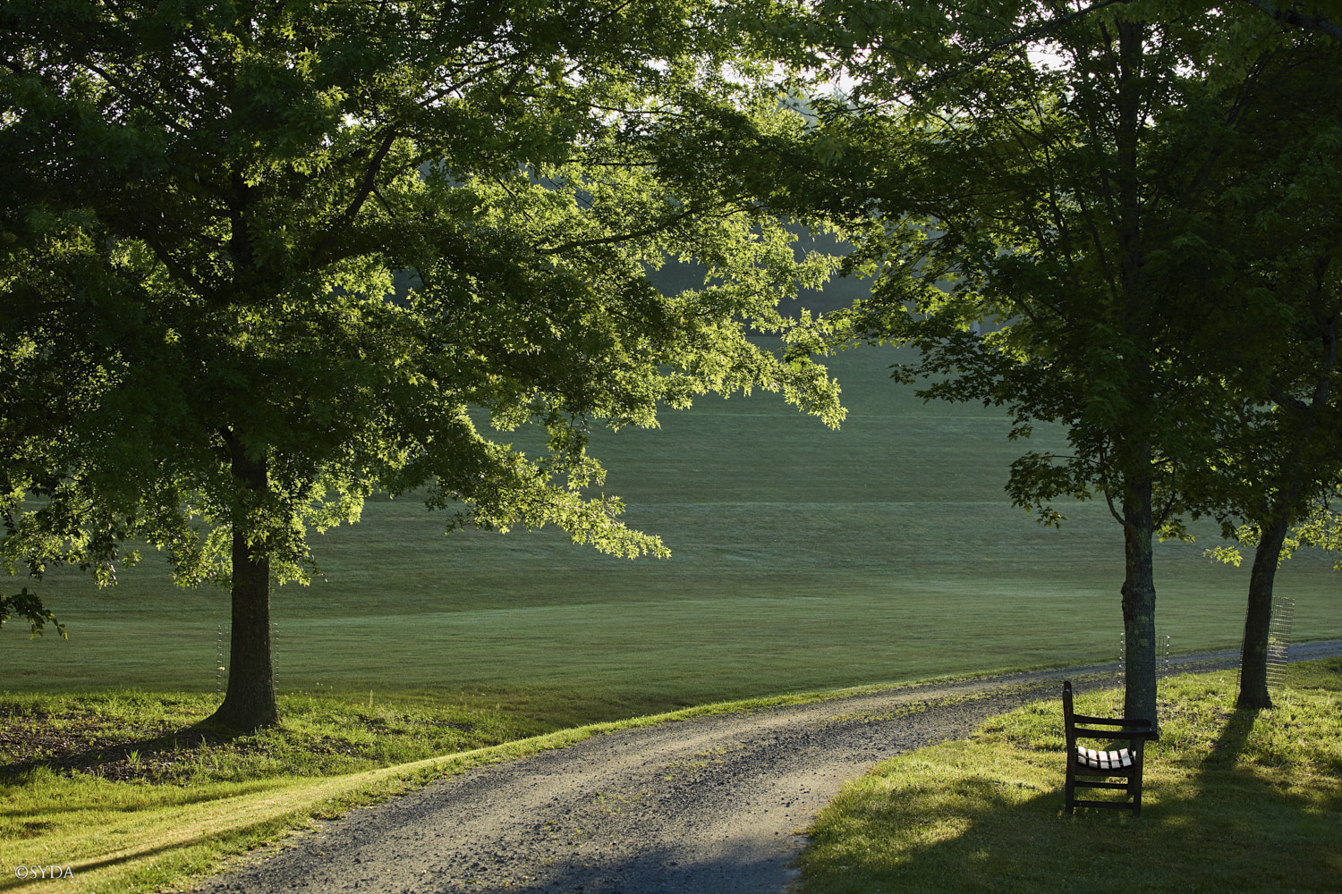 Nature Image