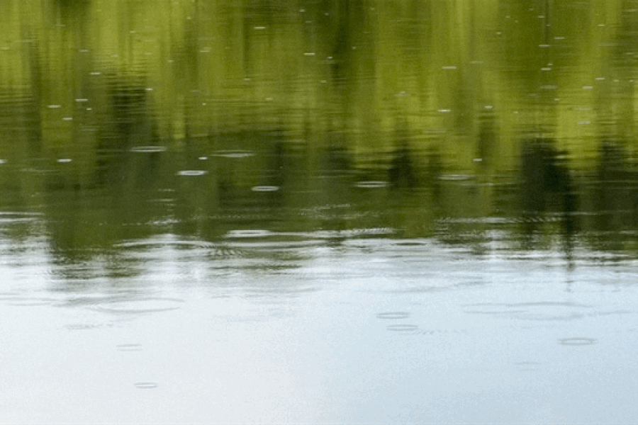 Nature Image