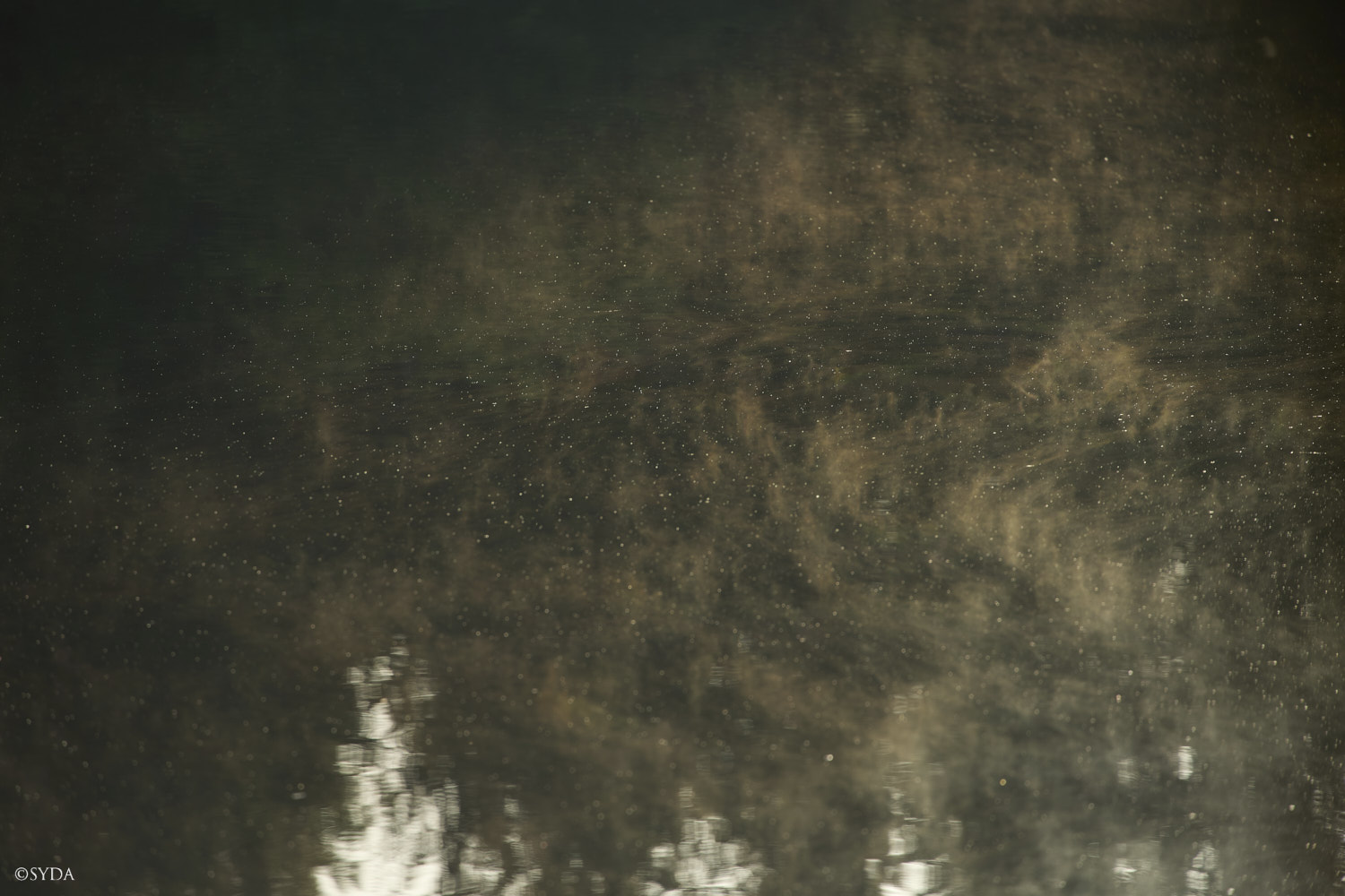 Nature Image