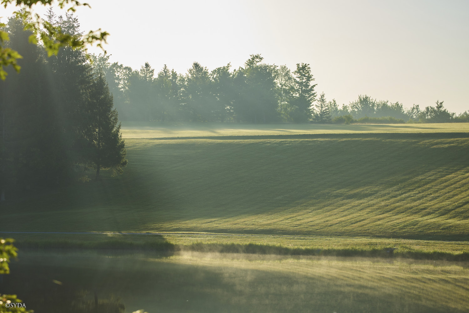 Nature Image