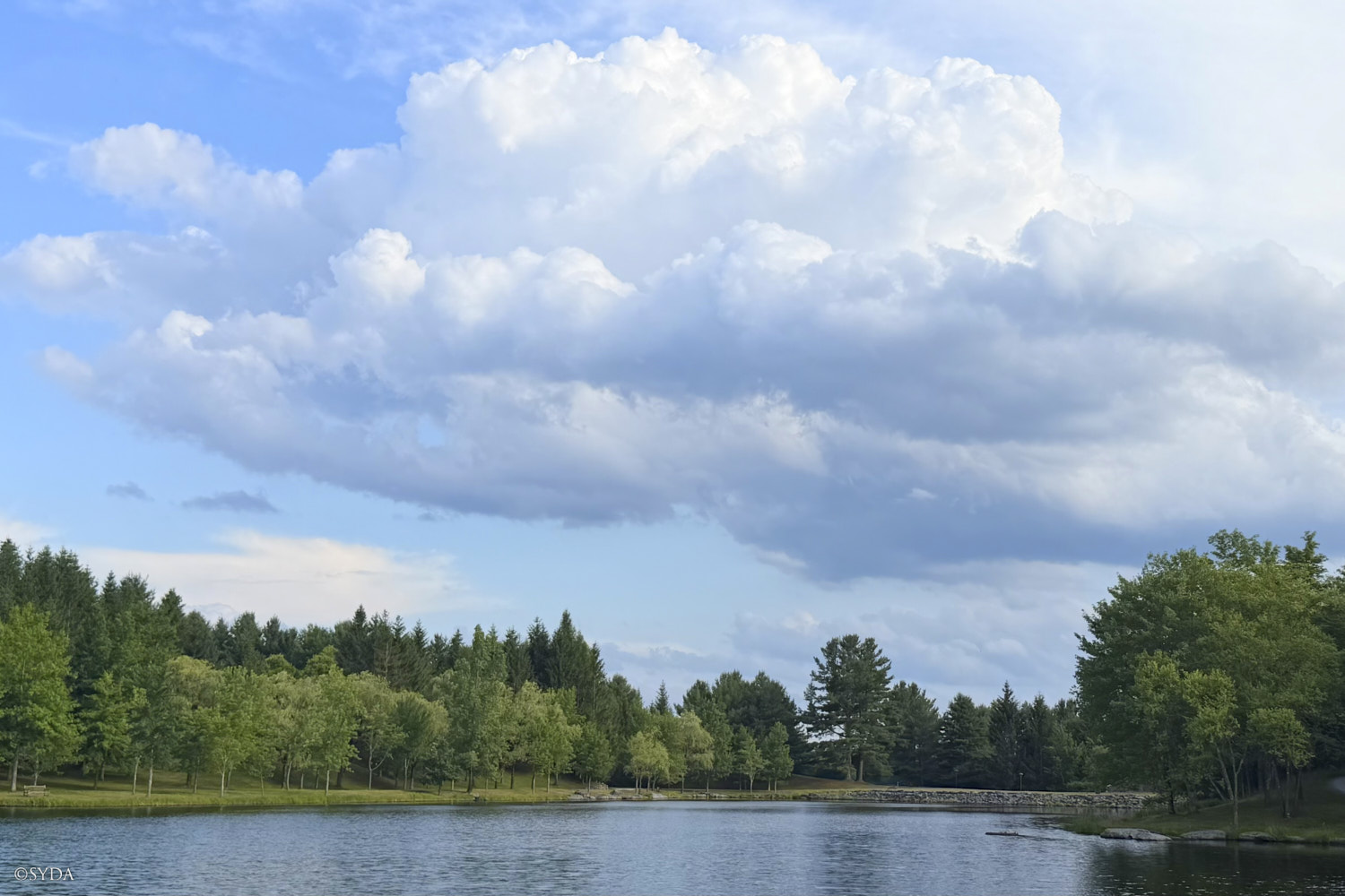 Nature Image