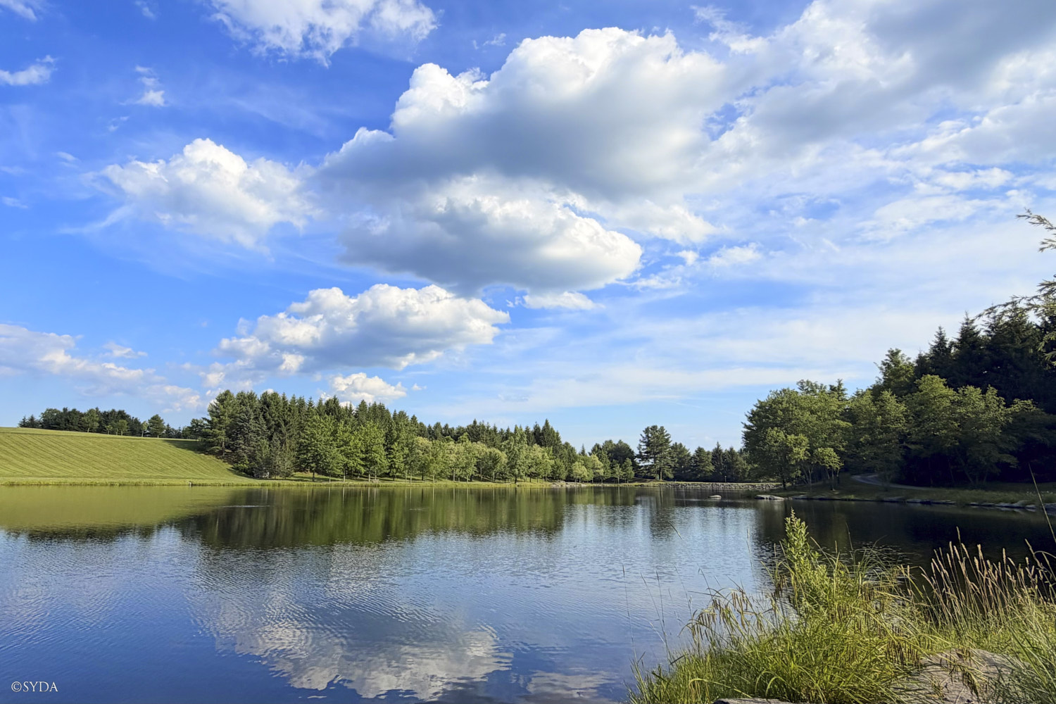 Nature Image