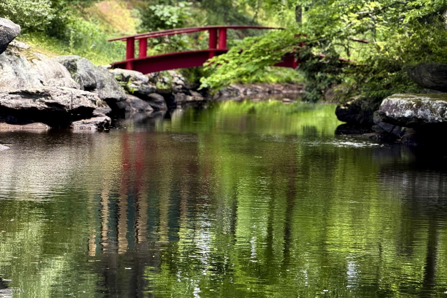 Nature Image