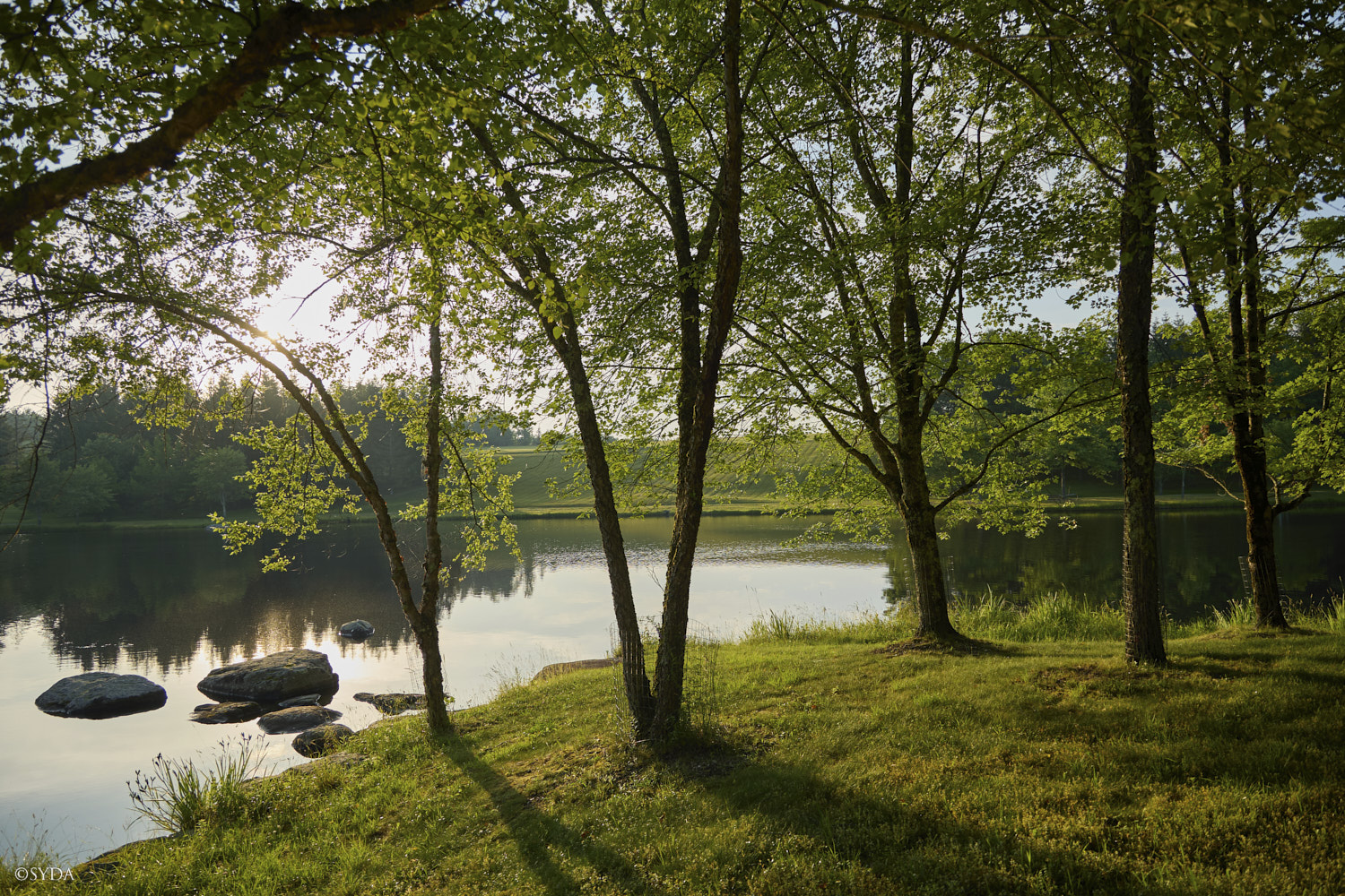 Nature Image