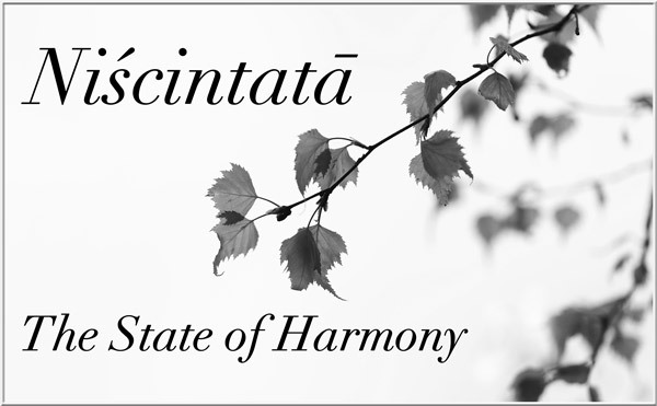 Niscintata - The State of Harmony