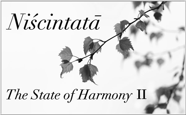 Niscintata II