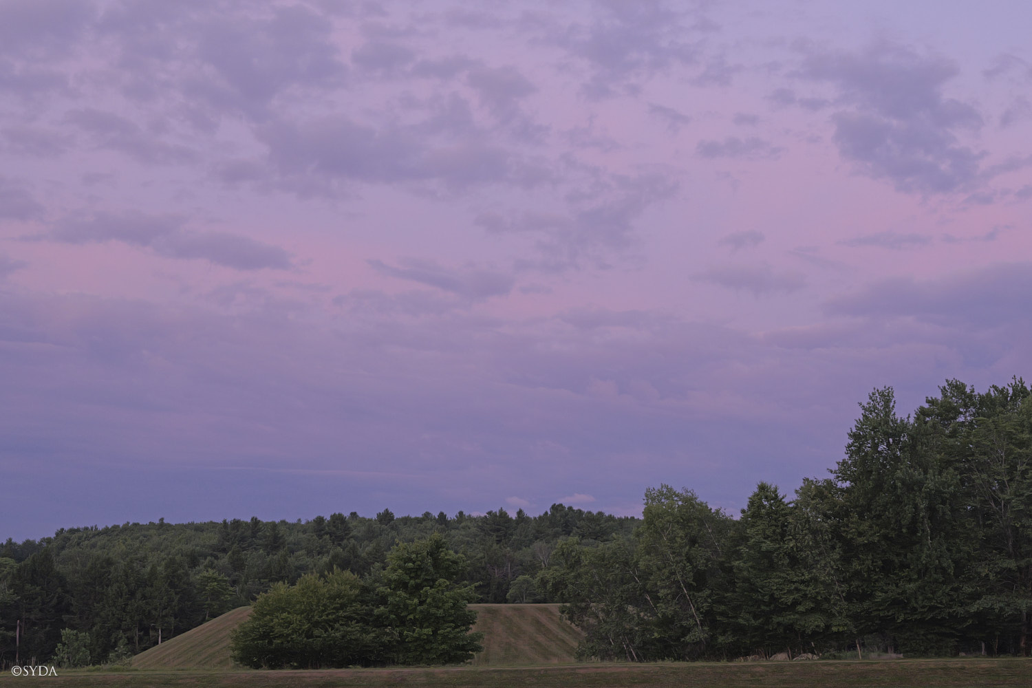 Nature Image