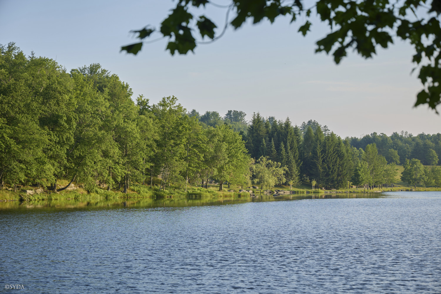 Nature Image