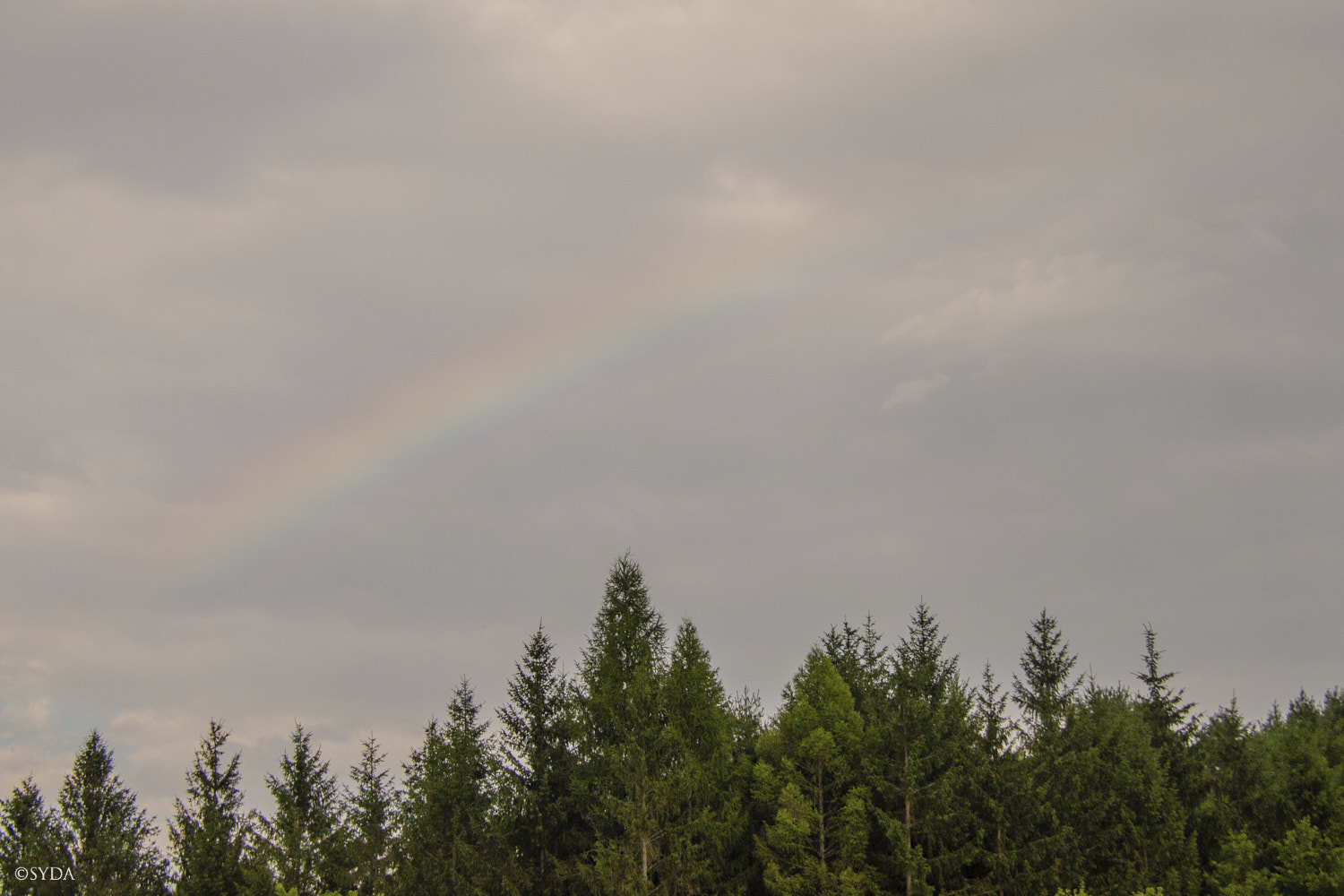 Nature Image