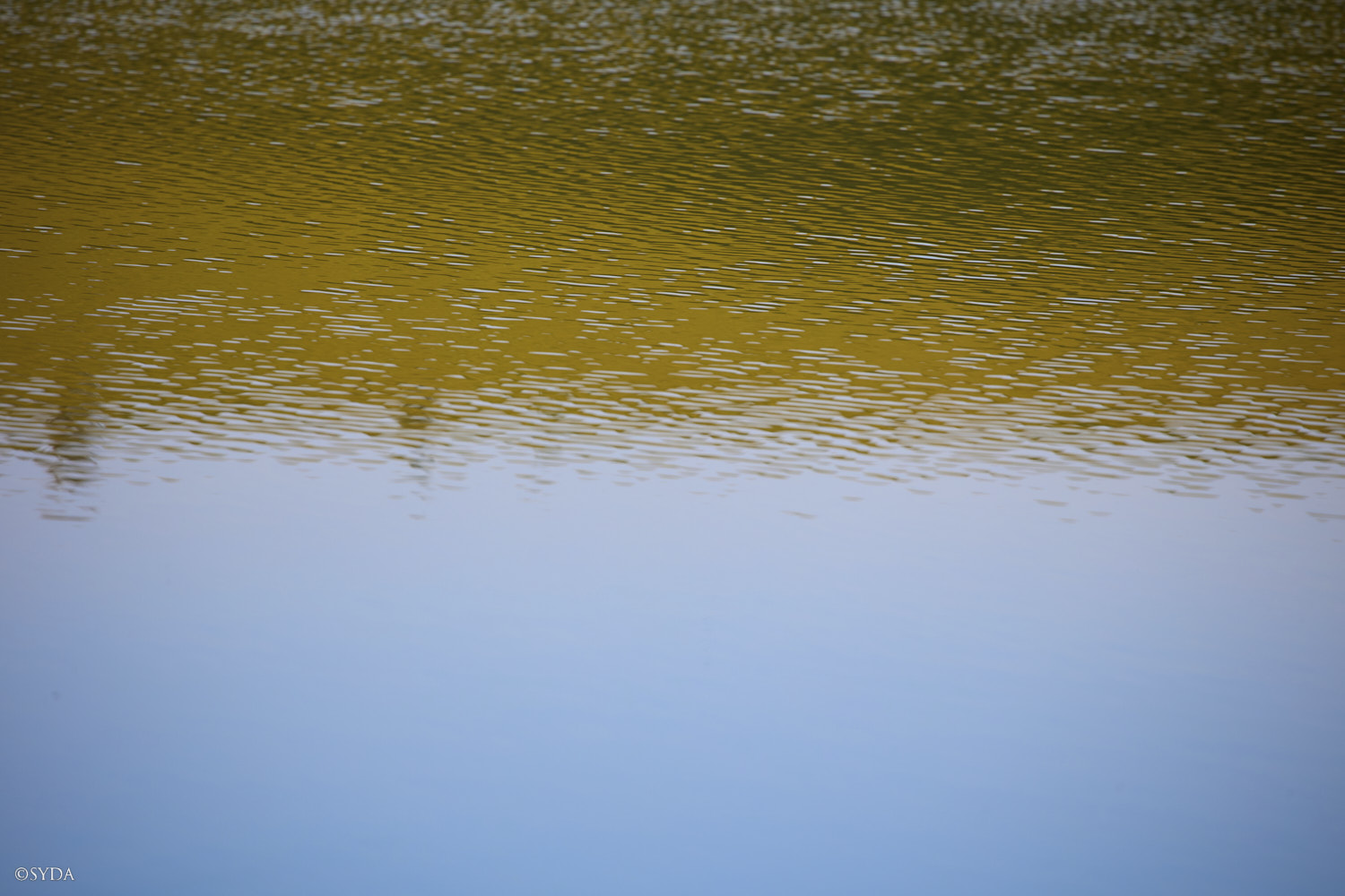 Nature Image