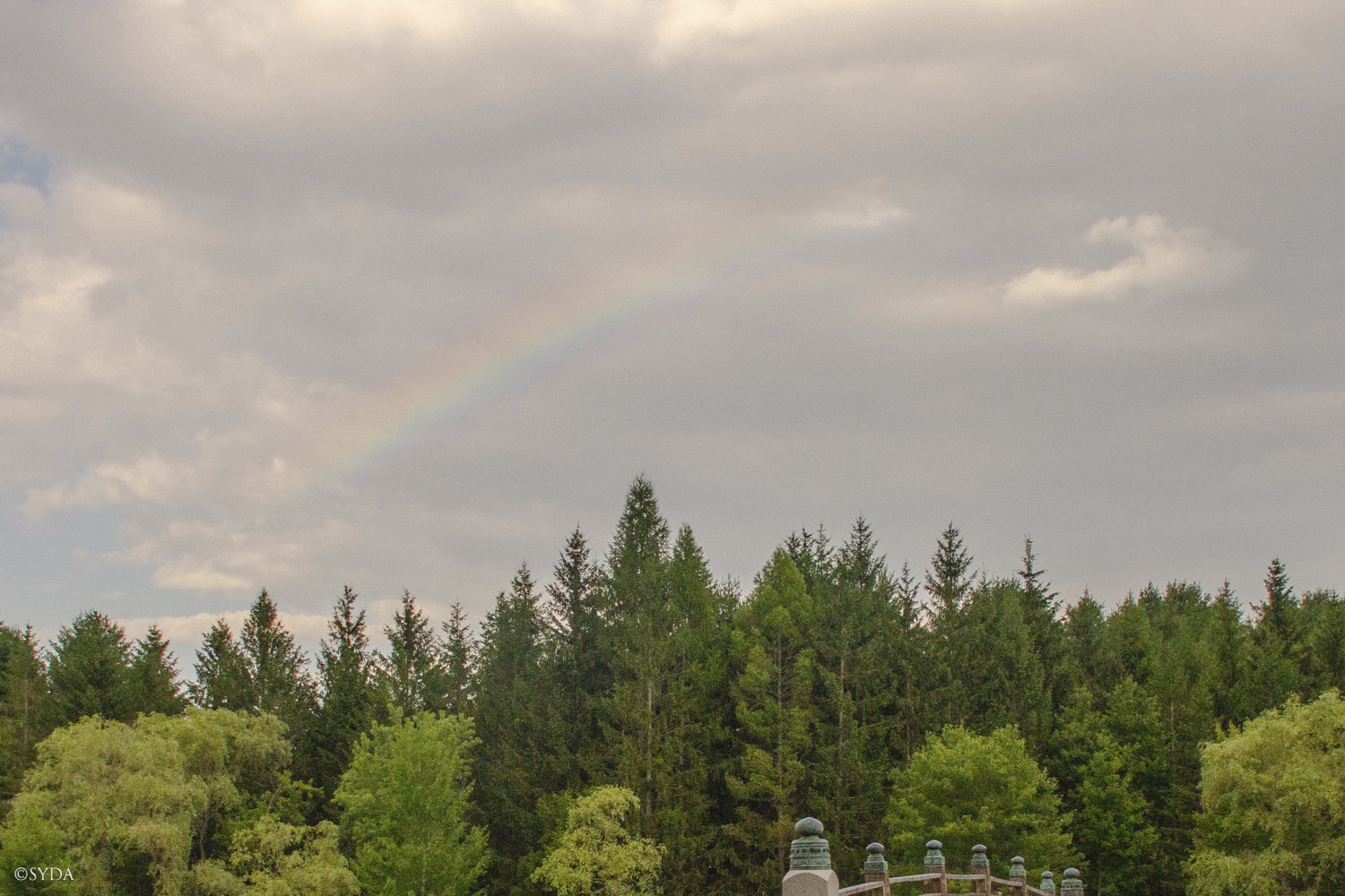 Nature Image