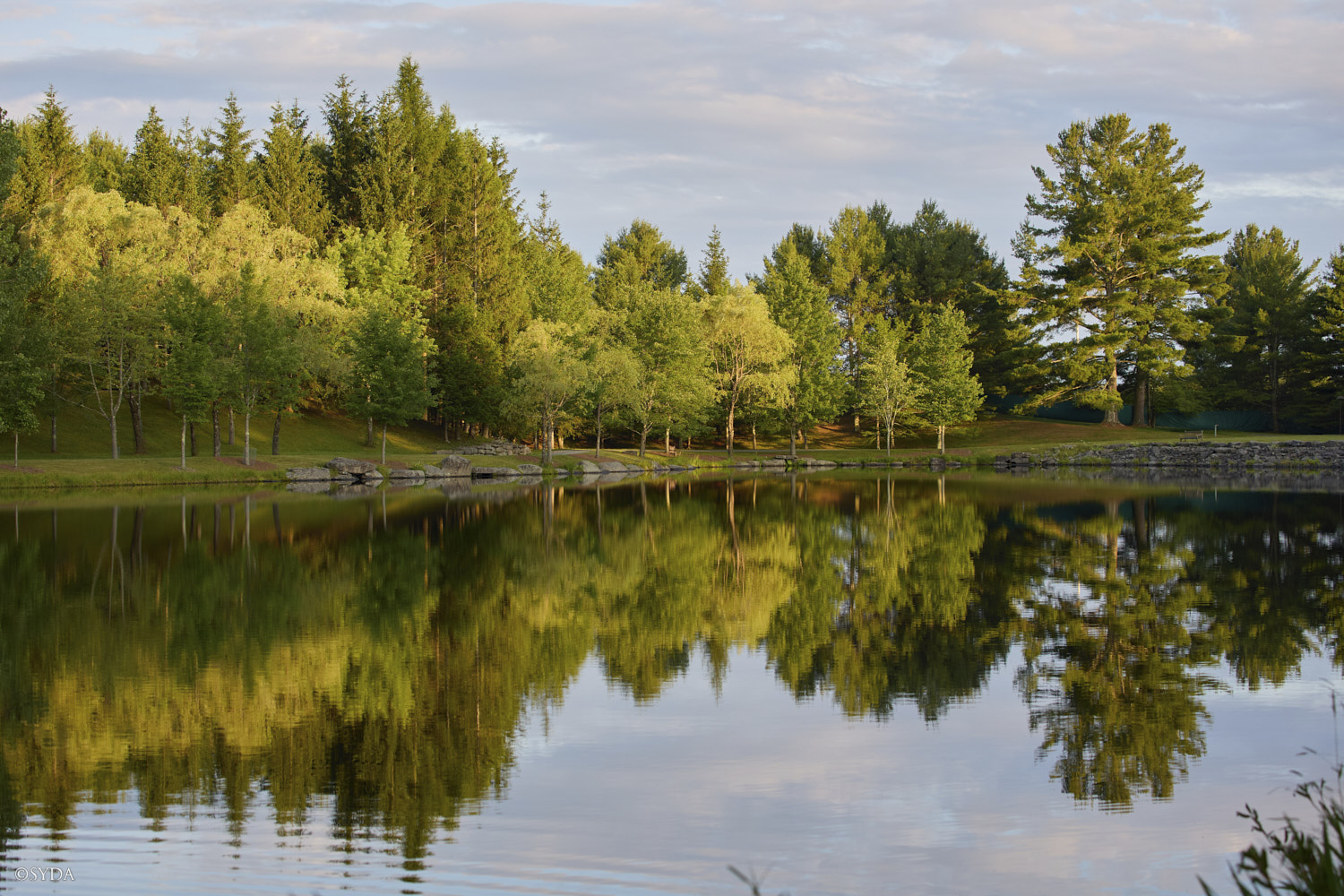 Nature Image