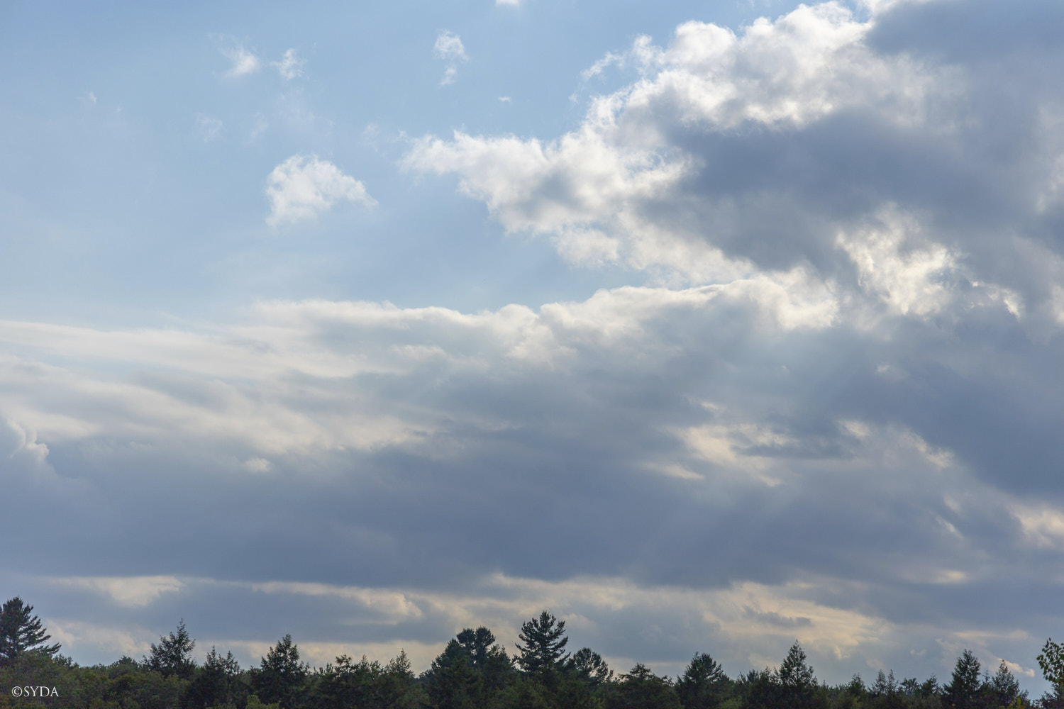 Nature Image