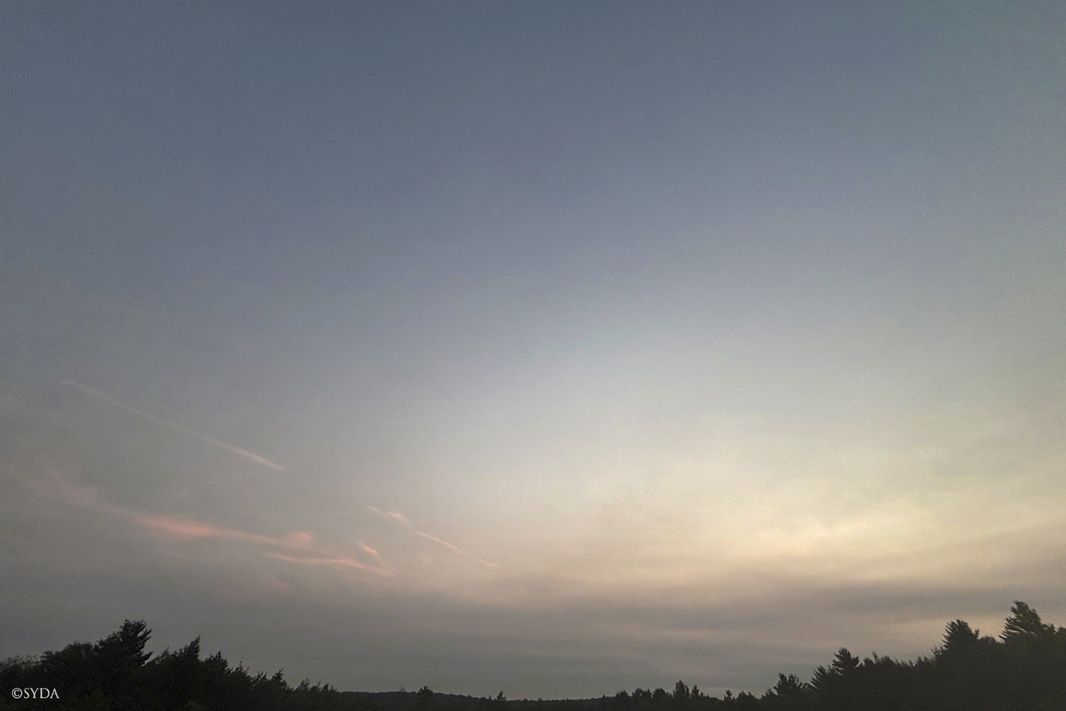 Nature Image