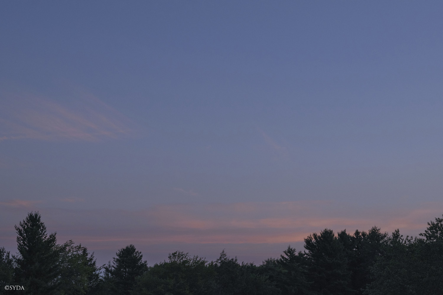 Nature Image