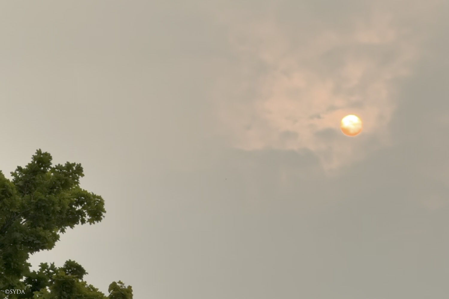 Nature Image