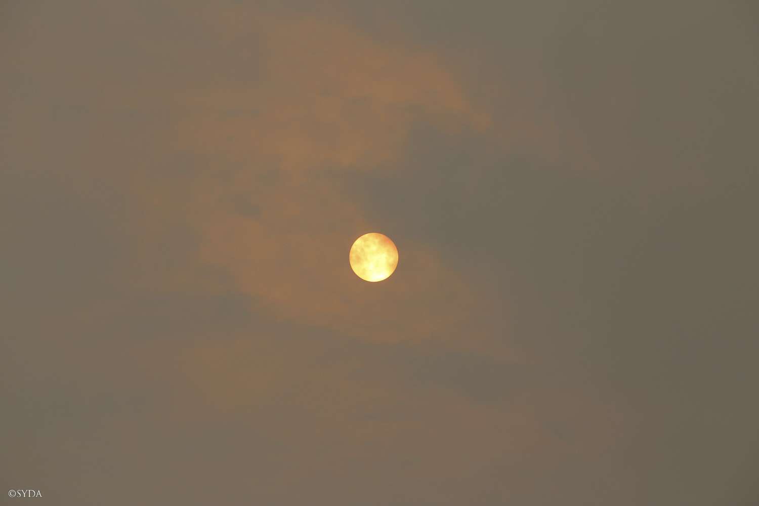 Nature Image