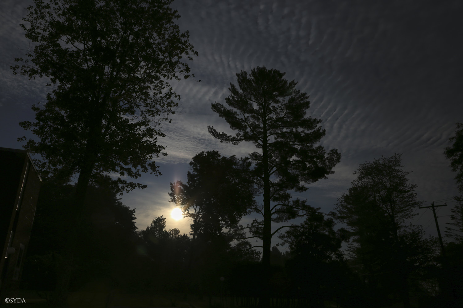 Nature Image