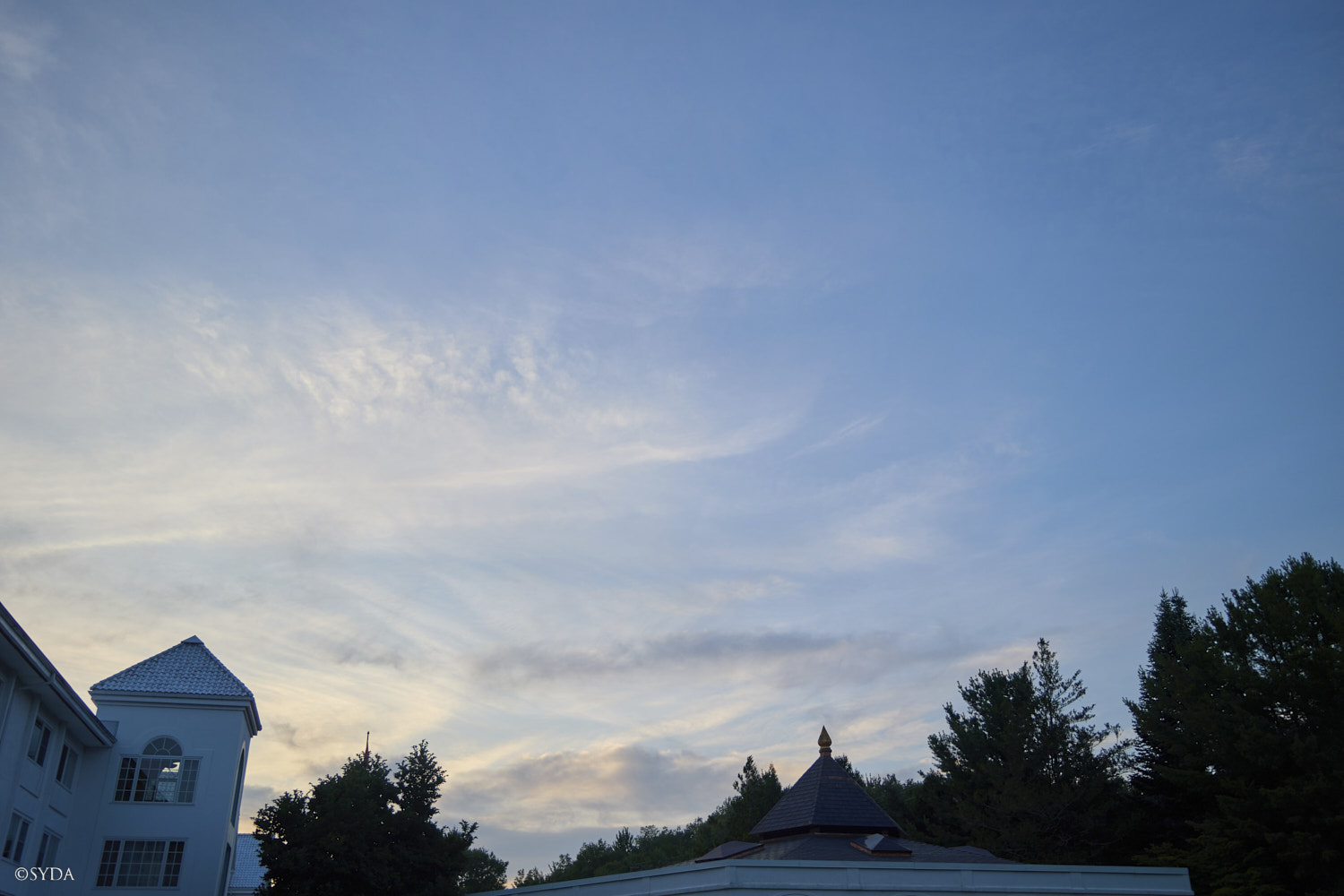 Nature Image