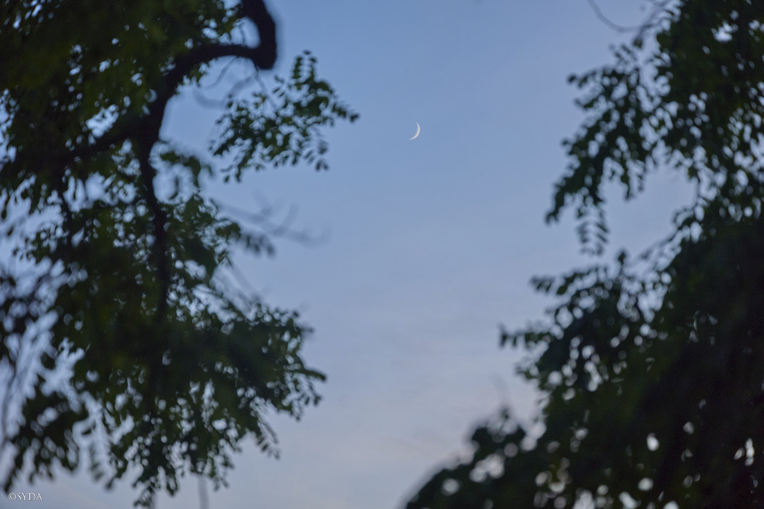 Nature Image