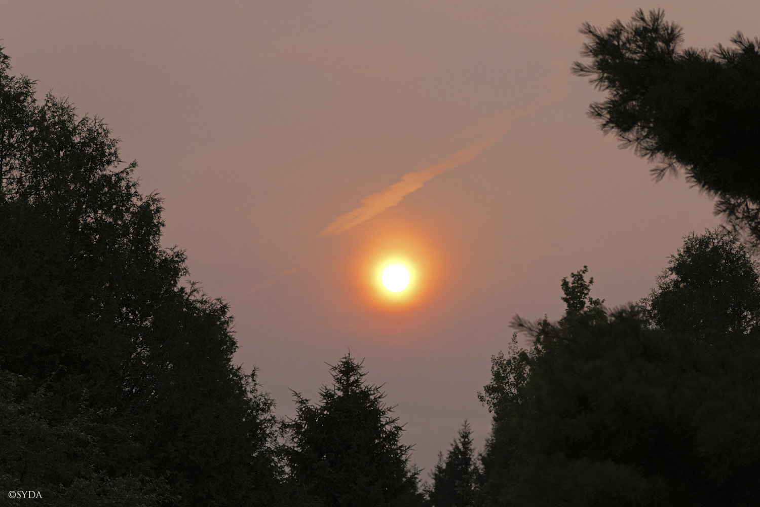 Nature Image