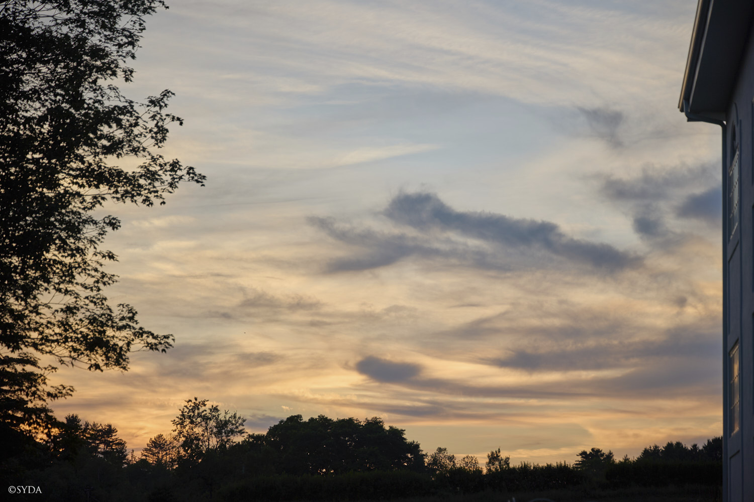 Nature Image