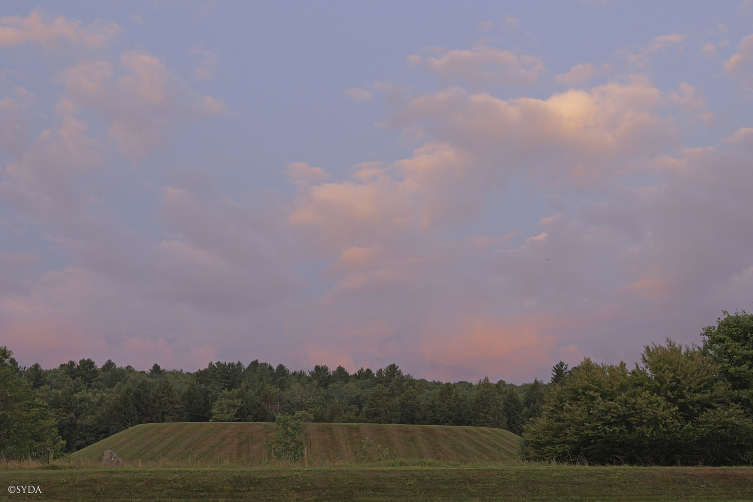 Nature Image