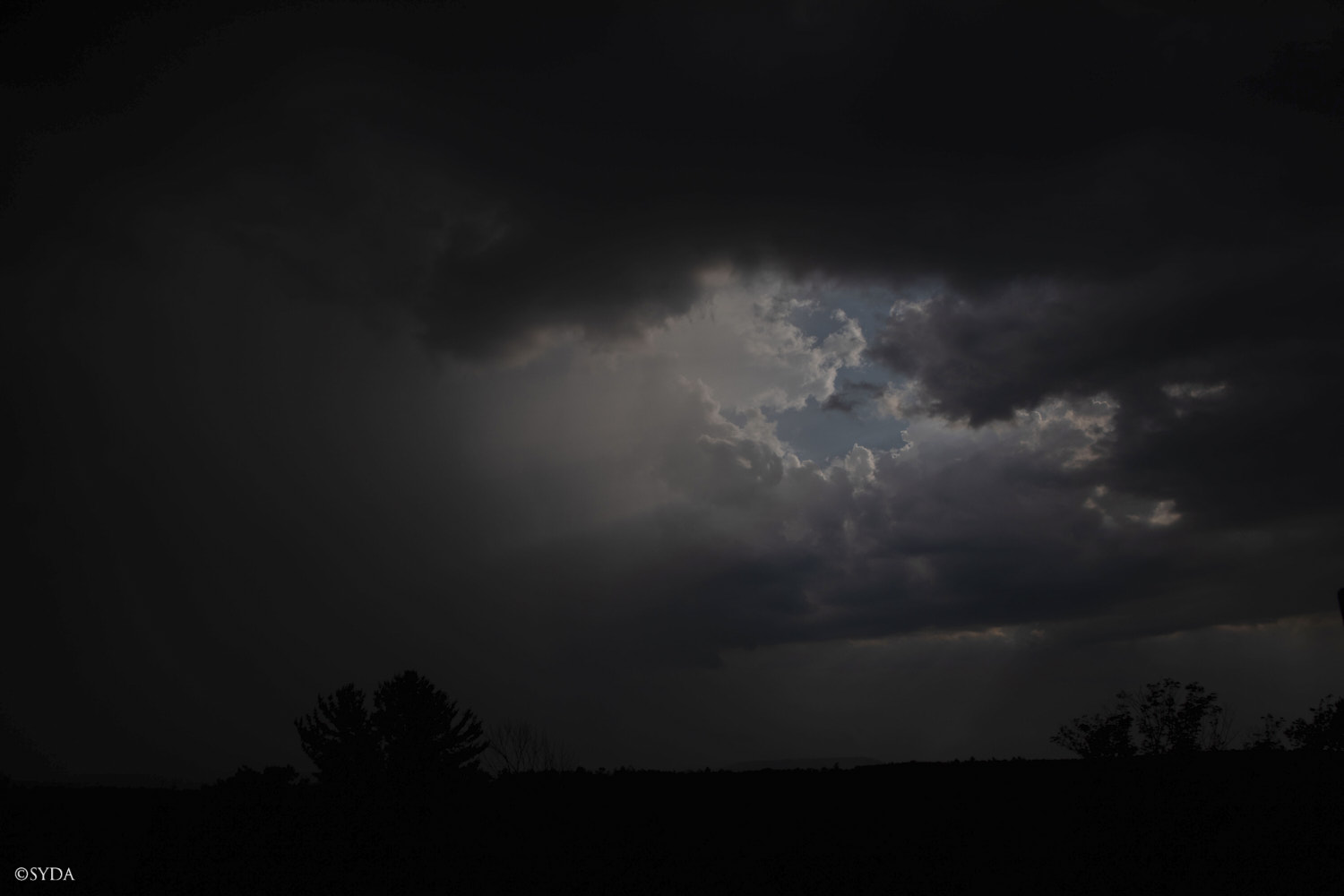 Nature Image