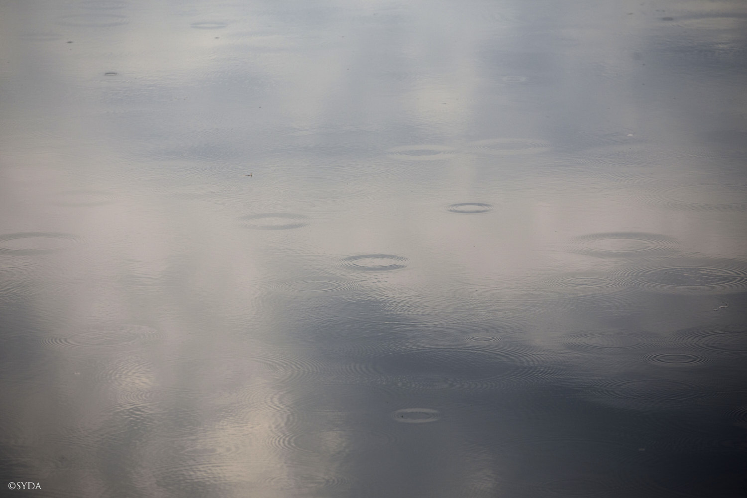 Nature Image