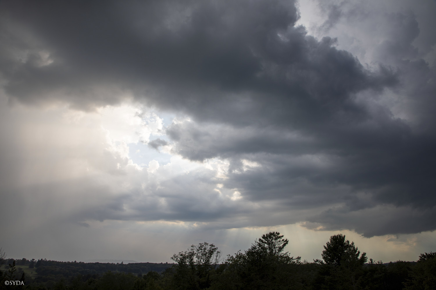 Nature Image