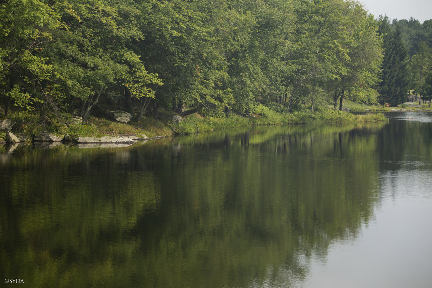 Nature Image