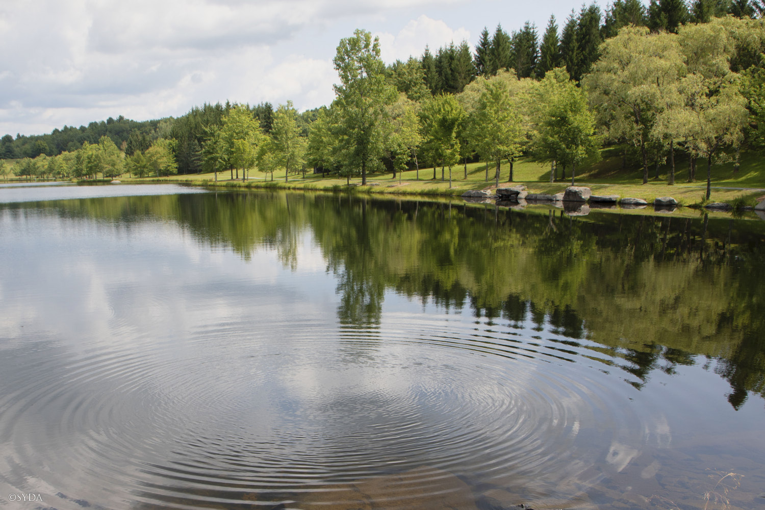 Nature Image