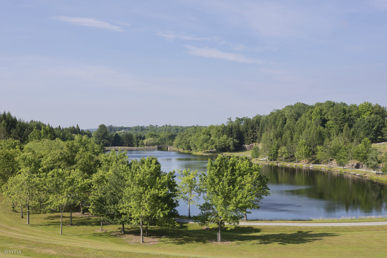 Nature Image