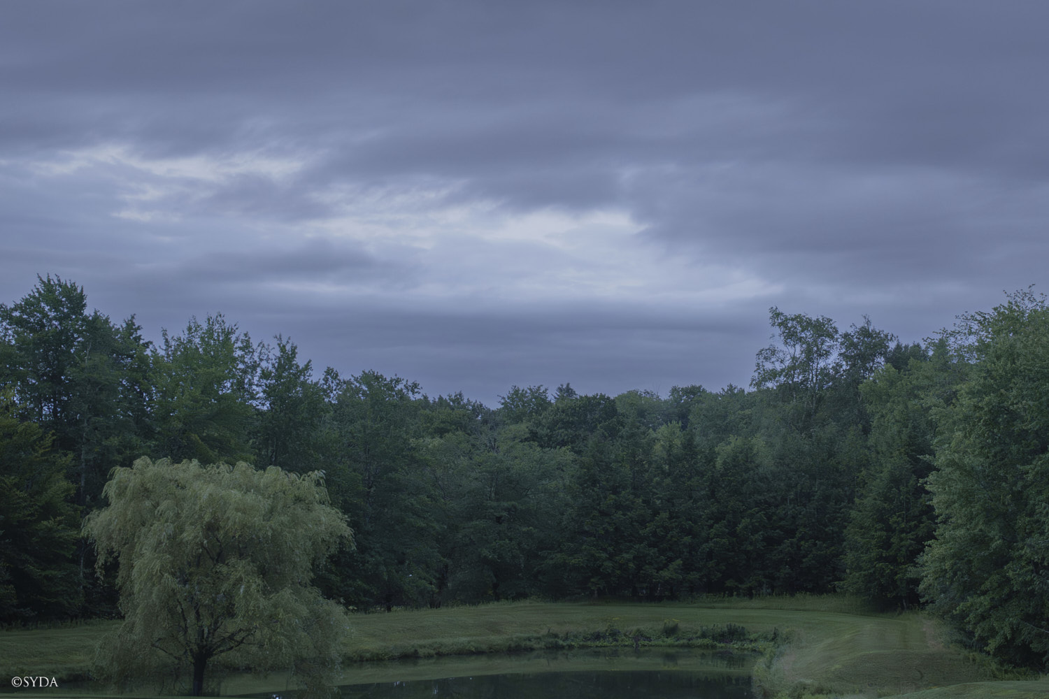 Nature Image