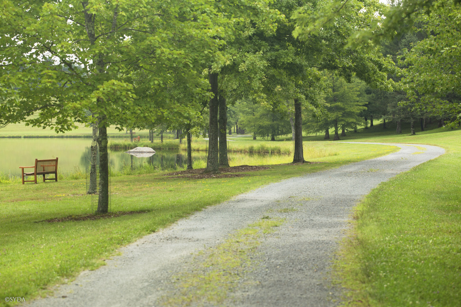 Nature Image