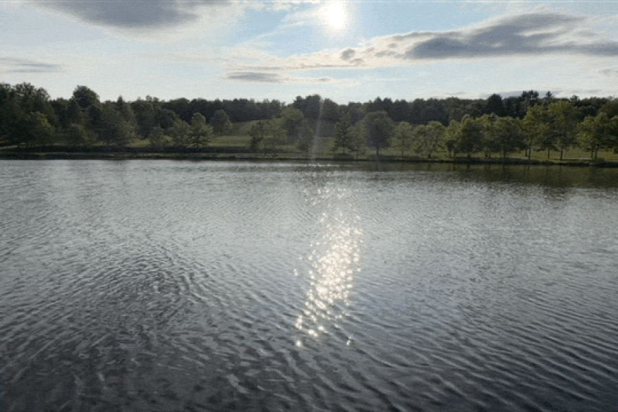 Nature Image